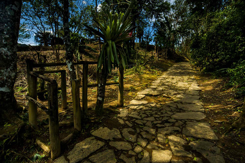 caminho do ouro