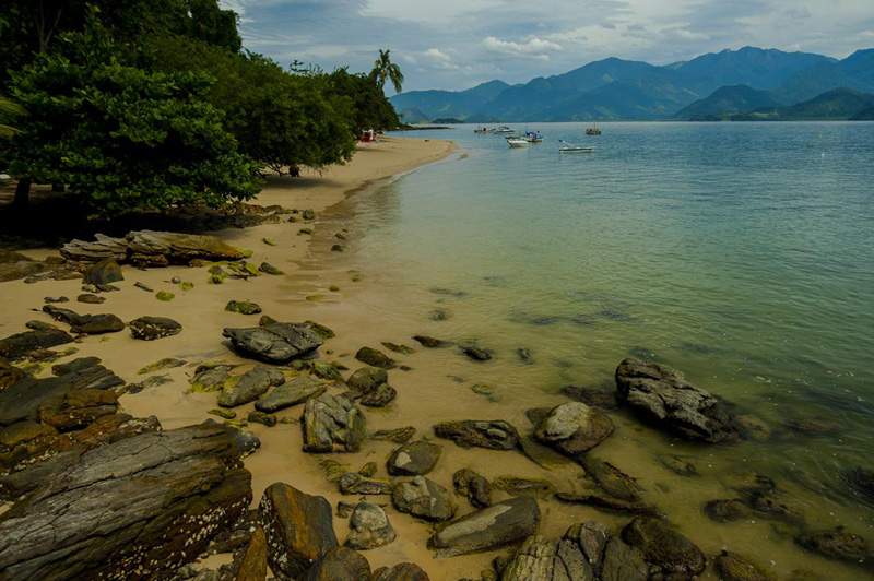ilha do cedro